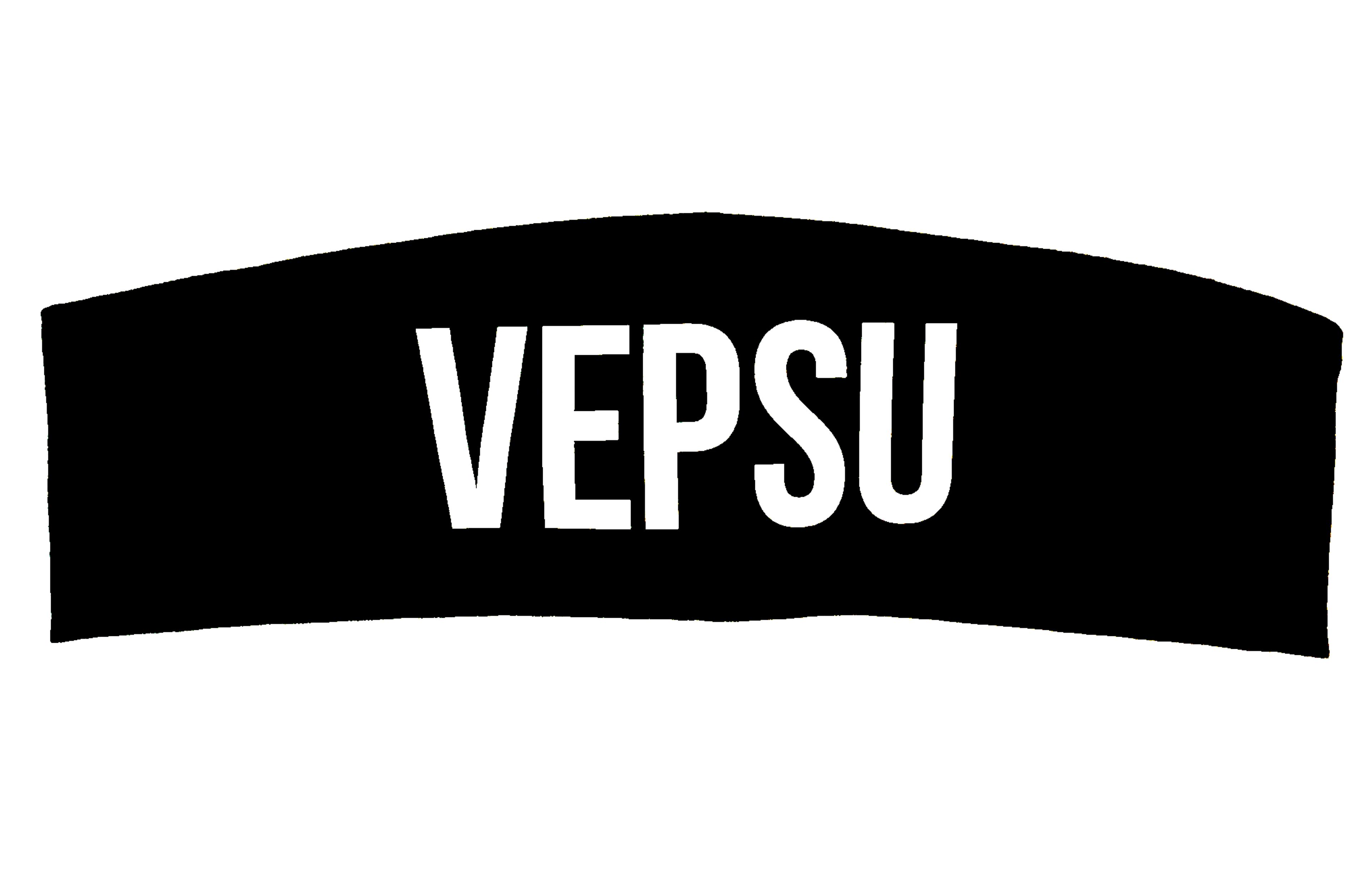 Hiuspanta Vepsu